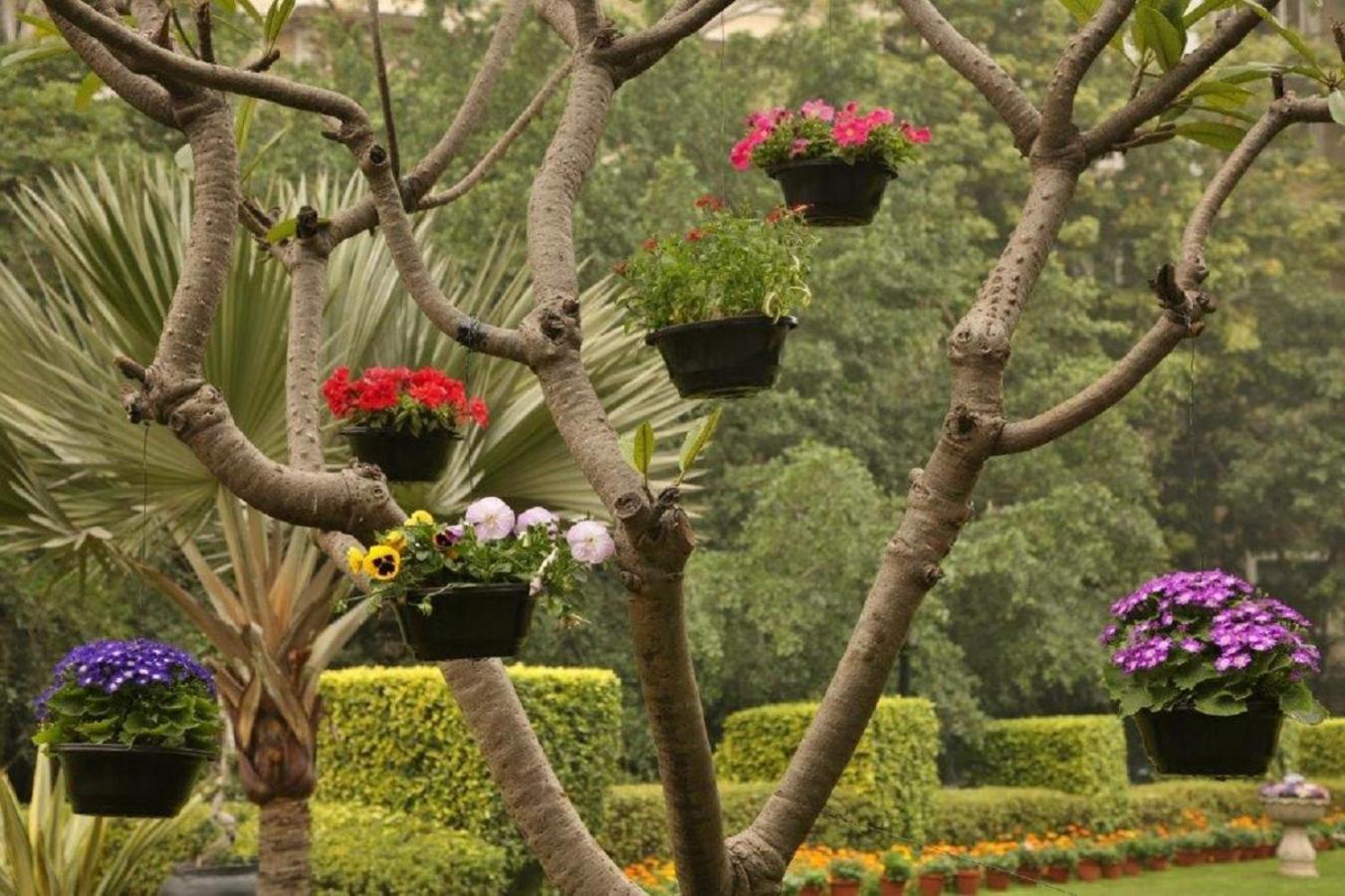 Taj Palace, New Delhi — photo 5