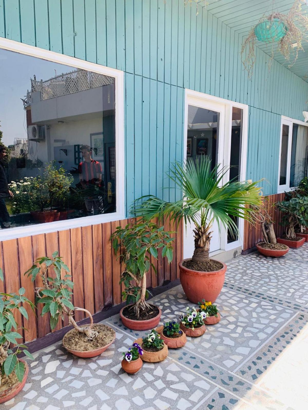 Vandana's Bed and breakfast — photo 4